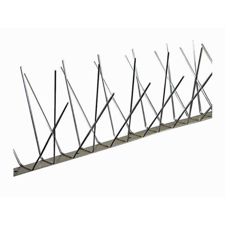 Stainless Steel Bird spikes