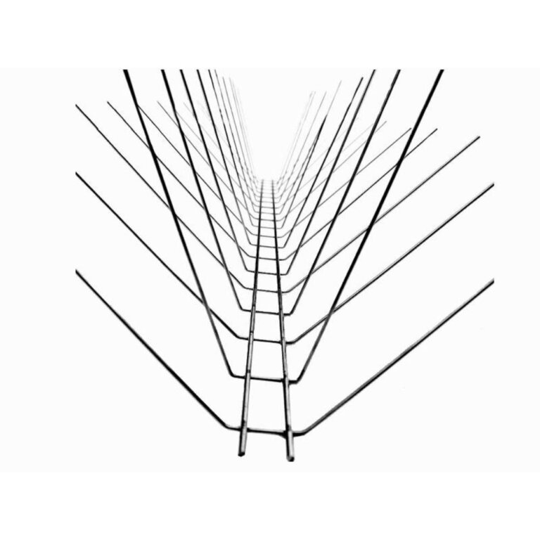 Stainless Steel Bird spikes  (3)