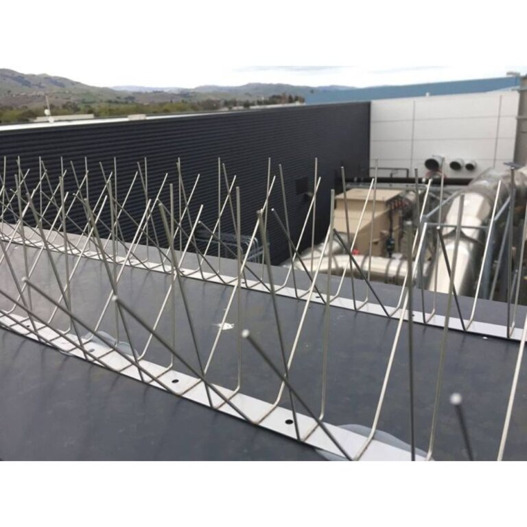 Stainless Steel Bird spikes  (4)