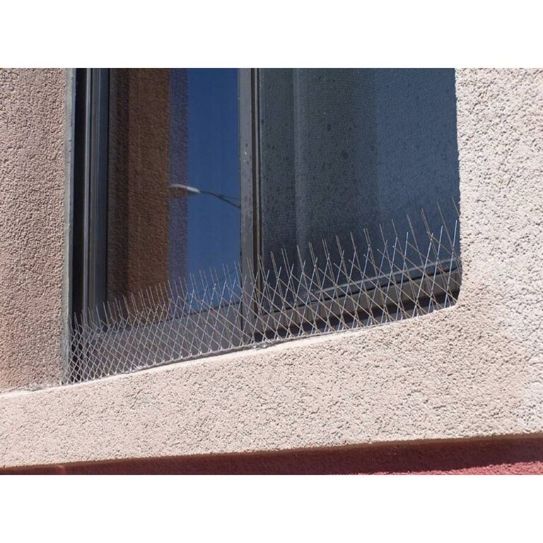 Stainless Steel Bird spikes  (6)