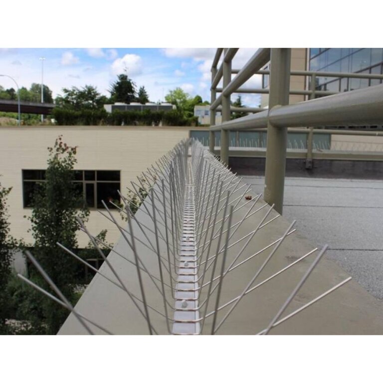 Stainless Steel Bird spikes  (7)